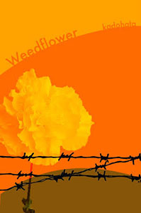Weedflower, alternate cover 1